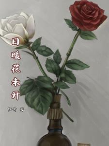 夏芳菲陆南辞是什么