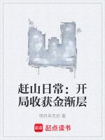 盗墓派和守墓派什么动画