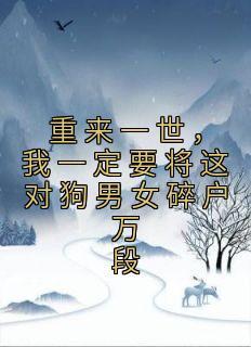 塞北风云录剧情介绍