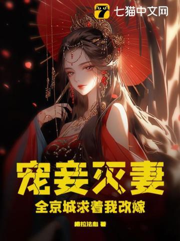 将军夫人不好惹沈婉