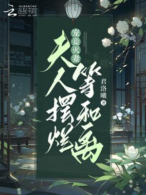 双魂武神免费全文阅读