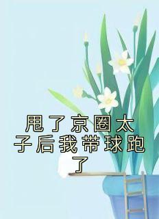 姜芙沈望君免费阅读