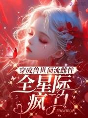 北城有雪免费阅读完整版