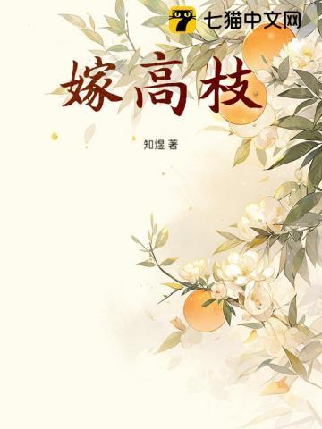 天命王侯林墨芝芝